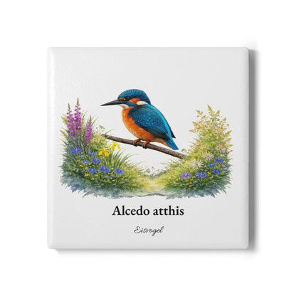 Eisvogel – Tassenuntersetzer