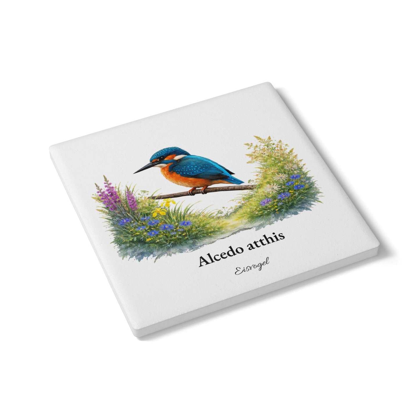 Eisvogel – Tassenuntersetzer