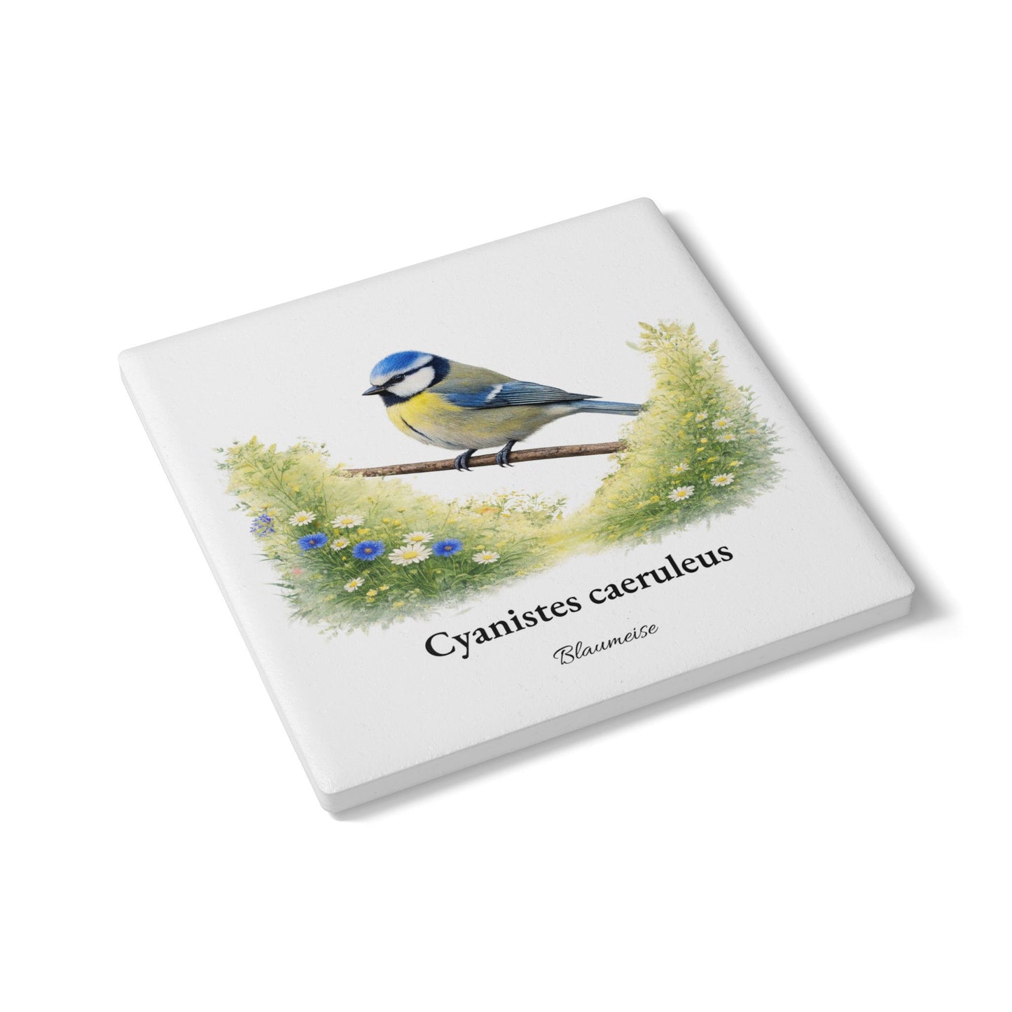 Blaumeise – Tassenuntersetzer