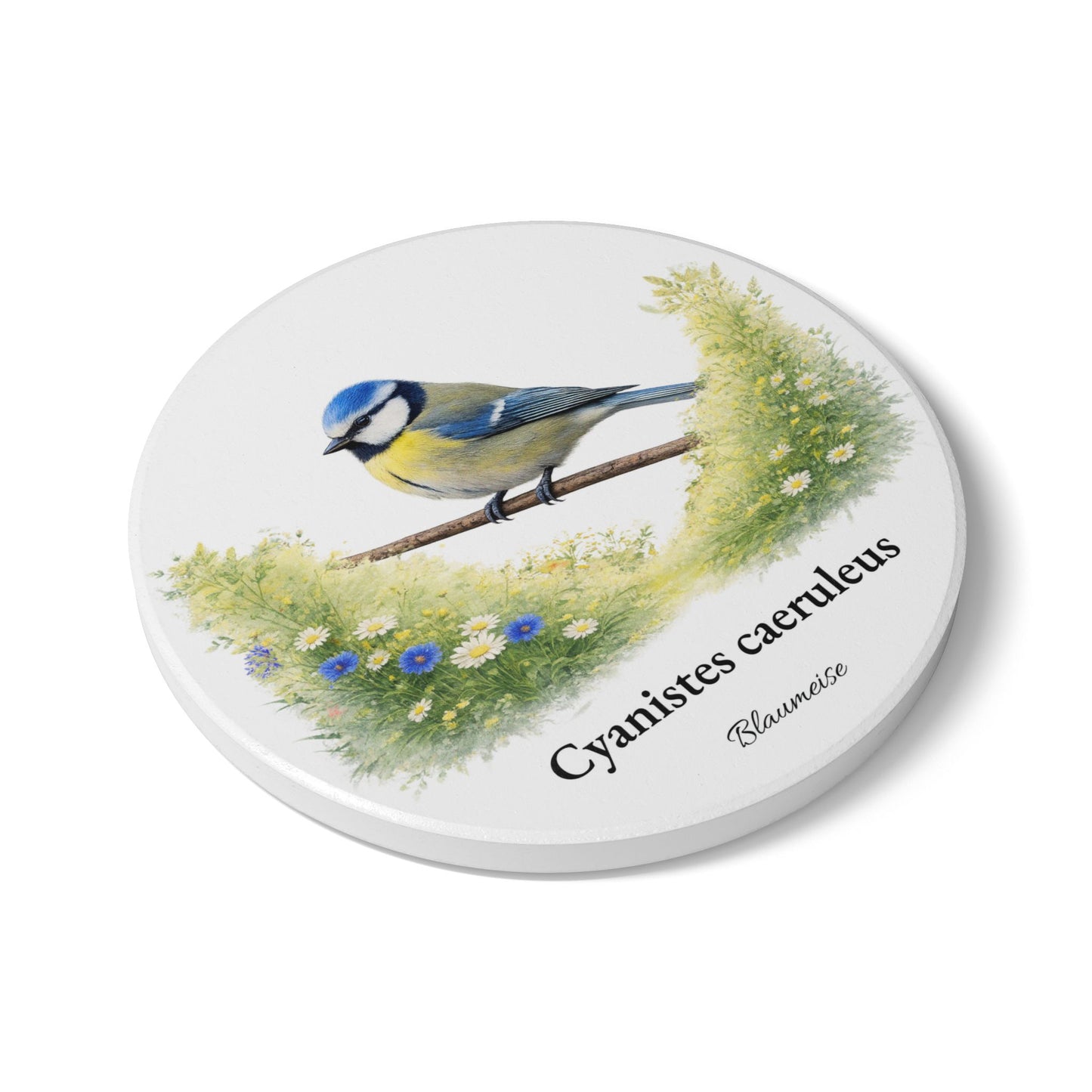 Blaumeise – Tassenuntersetzer