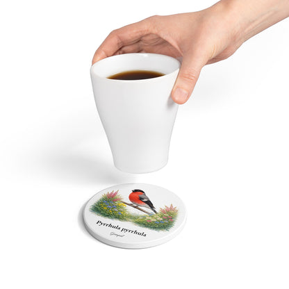 Gimpel – Tassenuntersetzer